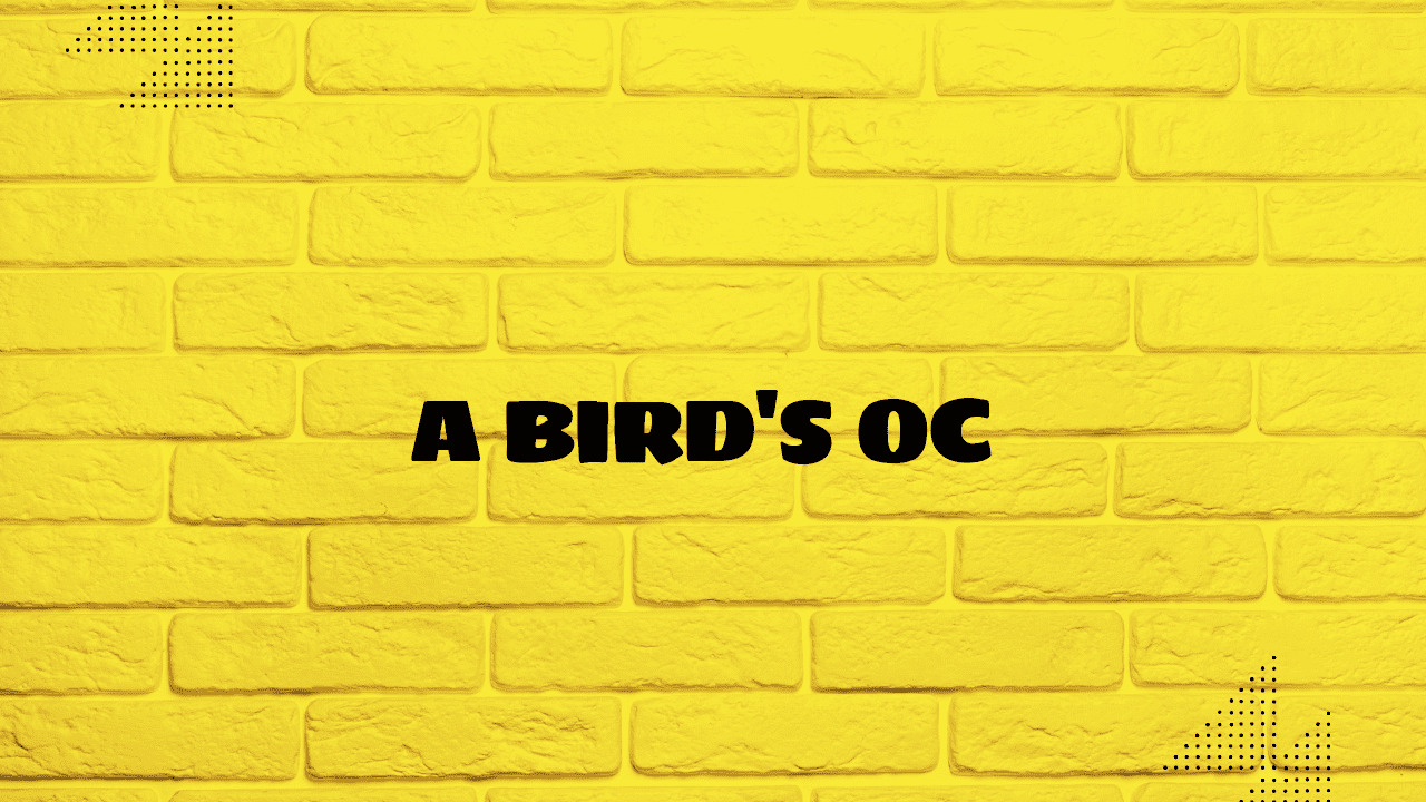 bird oc
